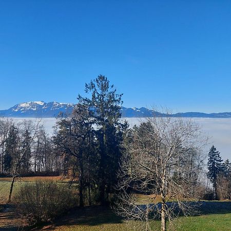 Gemuetliche Wohnung Mit Talblick Batschuns Εξωτερικό φωτογραφία