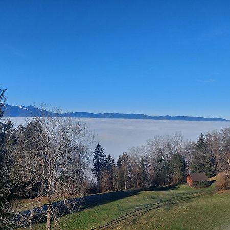 Gemuetliche Wohnung Mit Talblick Batschuns Εξωτερικό φωτογραφία
